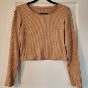 American Eagle long sleeve crop top